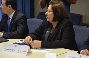 Reunião Grupo de Trabalho aperfeicoamento da invest 07.05 (2)