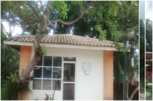 bercario depois